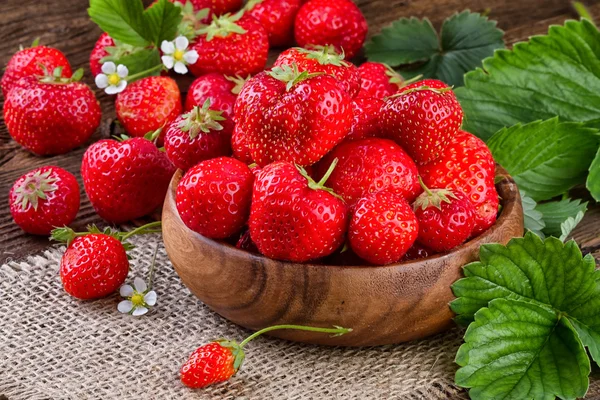 Erdbeeren Stillleben — Stockfoto