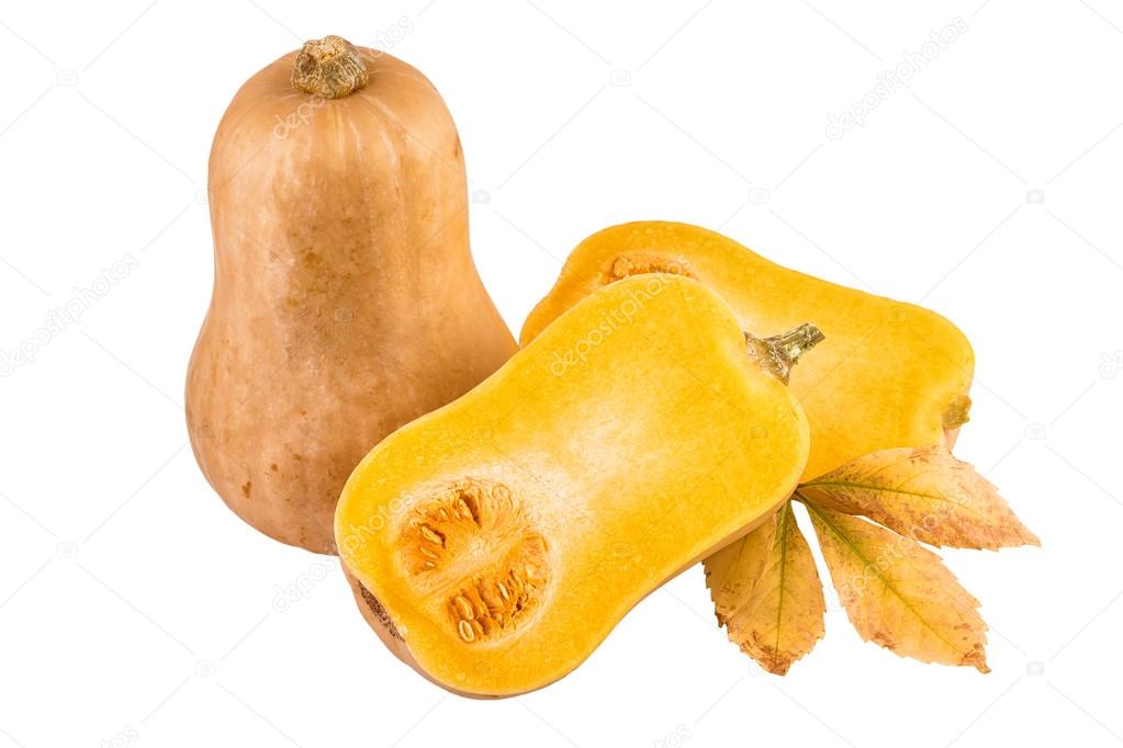 butternut pompoen geïsoleerd — stockfoto © anitasstudio #102244000