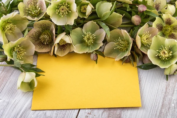 Spring flowers decoration with yellow paper sheet — Stock Photo, Image