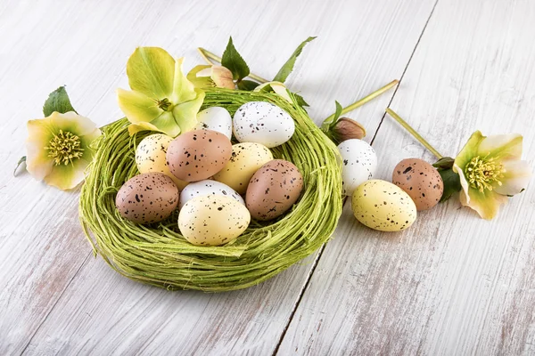 Osternest mit Eiern Dekoration Pastellfarben — Stockfoto