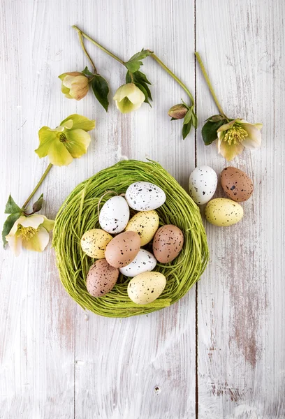 Ostergrüne Dekoration über Holz von oben — Stockfoto