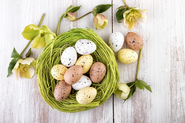 Easter Eggs decoration over wood top view — Stock Photo, Image