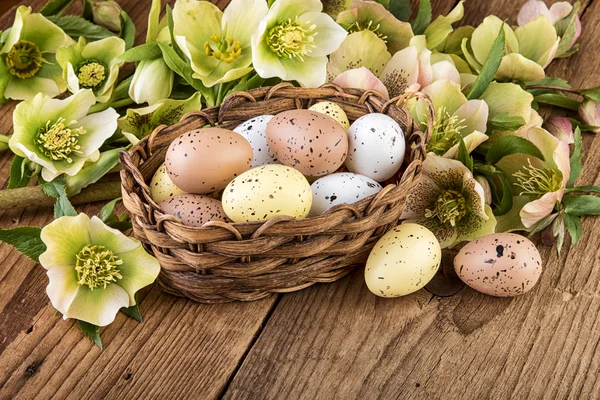 Korb mit Ostereiern in Pastellfarbe — Stockfoto