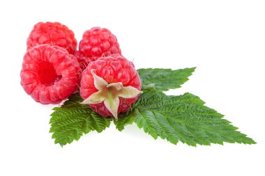 Taze ahududu. Yeşil yaprak üzerinde beyaz izole organik berry.