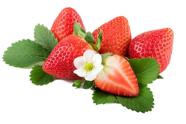 Erdbeere auf Weiß. frische Bio-Erdbeere mit Blättern und Blüten. — Stockfoto