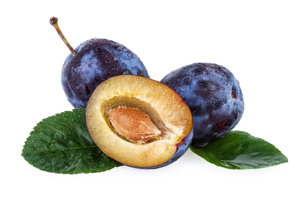 Ameixas de perto. Ameixas maduras frutas isoladas sobre fundo branco — Fotografia de Stock