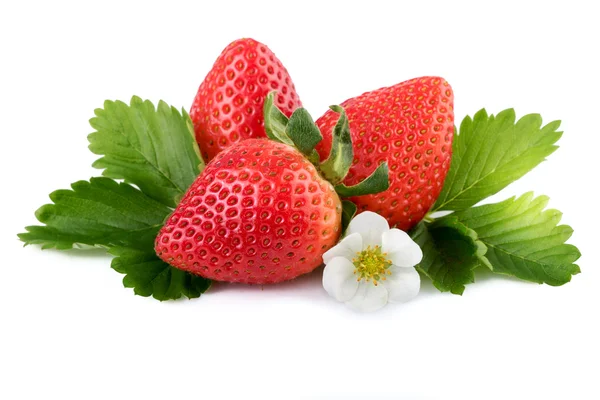 Клубничная органическая ягода с зелеными листьями, выделенными на белом — стоковое фото
