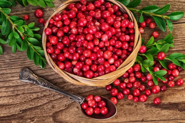 Cranberry kosár felülnézet — Stock Fotó