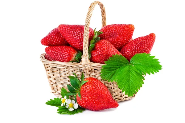 Strawberry basket closeup. Fresh strawberries isolated on white background. — Stock Photo, Image
