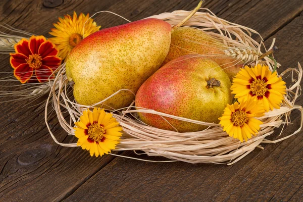 Päron frukt hösten Thanksgiving Day dekoration — Stockfoto