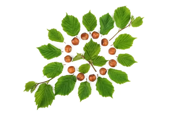 Groene patroon met hazelaar noten en bladeren van de noten. Plat lag, top uitzicht. — Stockfoto