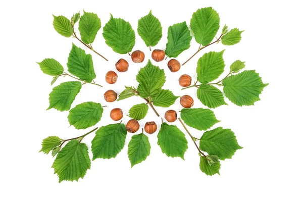 Noci di nocciola con modello lucente di foglie verde su bianco. Posa piatta, vista dall'alto . — Foto Stock