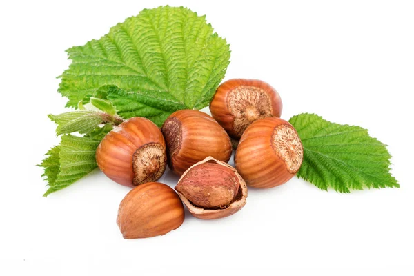 Hazelnut or filbert nuts with leaves on white background — Stock Photo, Image