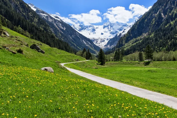 Väg genom våren berg landskap nära Stillup, Österrike, Tyrolen. — Stockfoto