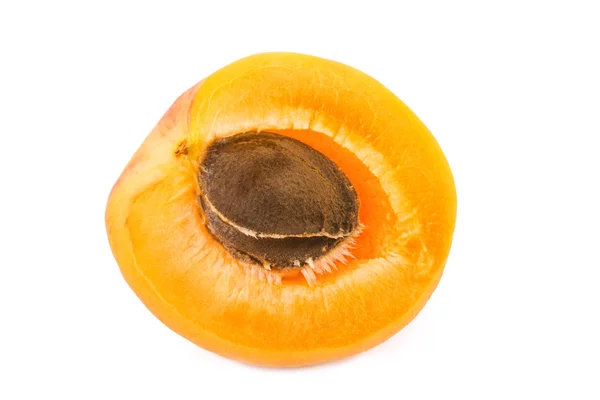 Apricot half with fruit kernel on white background. Closeup. — Stock Photo, Image