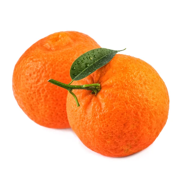 Two tangerines fruit with leaf on white. Closeup. — Stock Photo, Image