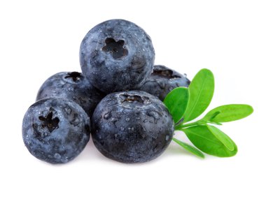 Yaban mersini yaprağı üzerinde beyaz izole