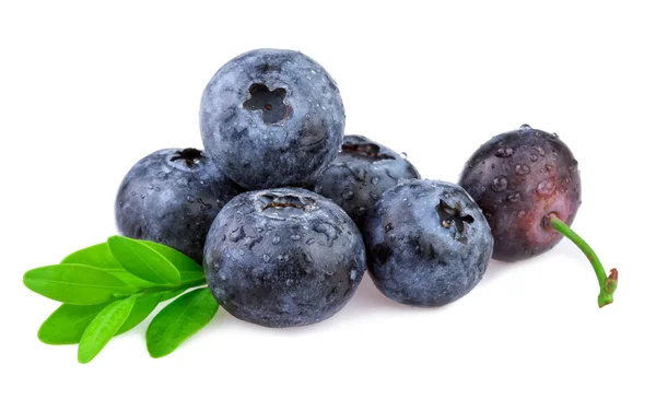 Organic blueberry with leaf isolated on white. — Stock Photo, Image