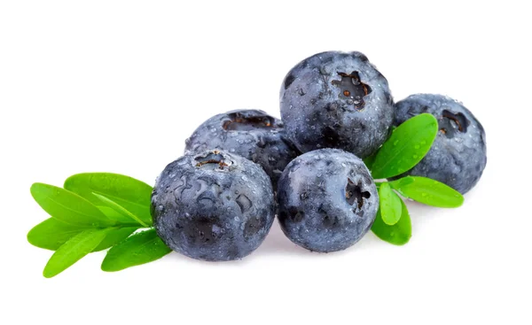 Frische Blaubeeren. Bio-Blaubeere isoliert auf weißem Hintergrund. — Stockfoto