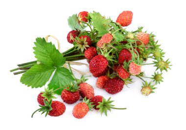 Yaban çilekleri. Beyaz üzerine yaban çileği meyve bitki