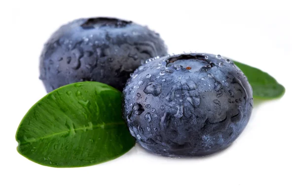 Blueberries on white. Two blueberries with leaf closeup. — Stock Photo, Image