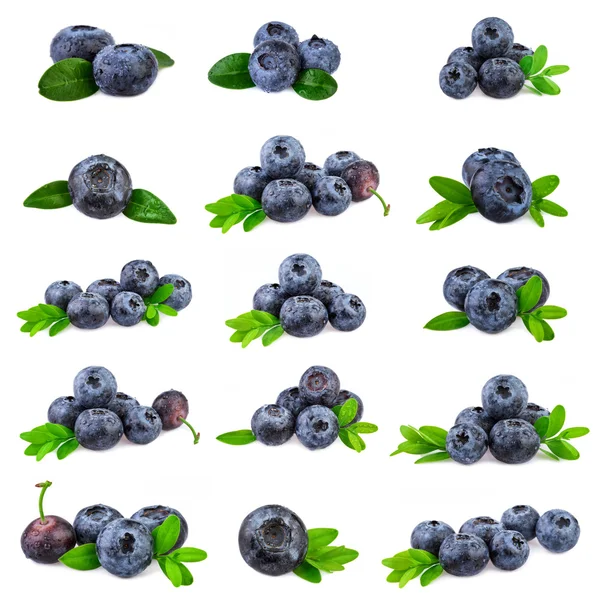 Blueberries Collection. Fresh blueberry with leaf isolated on white. — Stock Photo, Image