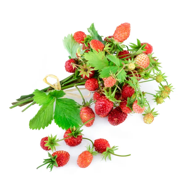 Walderdbeeren isoliert auf weiß — Stockfoto