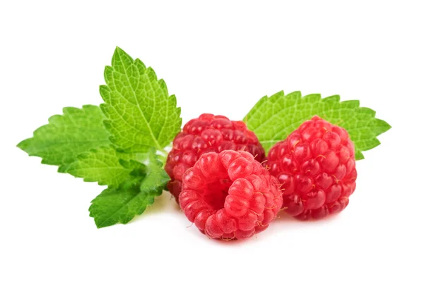 Raspberries with mint leaf closeup — Stock Photo, Image