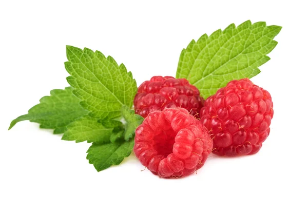 Raspberry and mint leaf — Stock Photo, Image