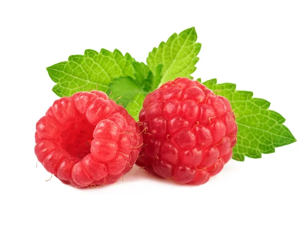 Framboises avec feuille de menthe. Gros plan . — Photo