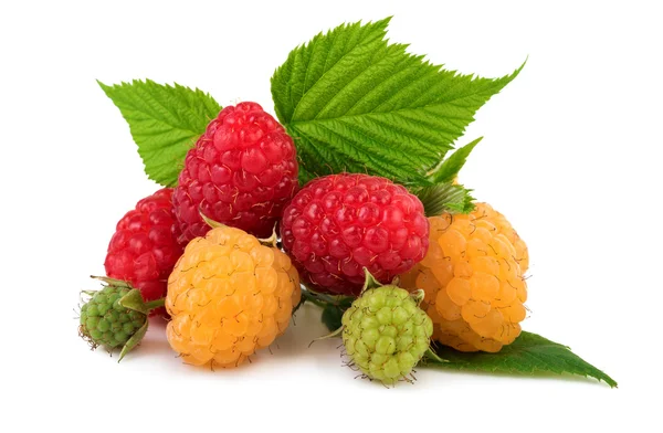 Raspberry red and yellow — Stock Photo, Image