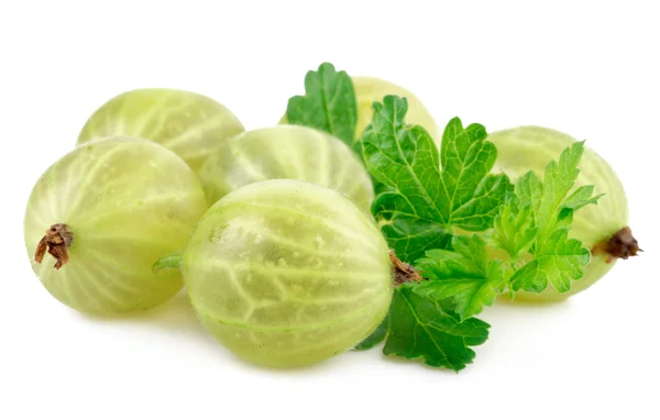 Zelené Angrešt plody s listy na bílém pozadí — Stock fotografie