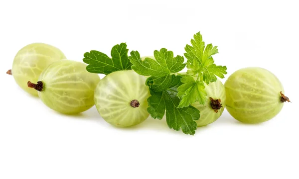 Fruta de grosella verde con hoja en blanco — Foto de Stock