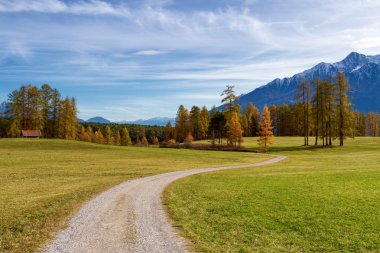 Sonbahar dağ manzarası Alpleri'nde iz hiking ile. Mieminger Yaylası, Avusturya, Tyro