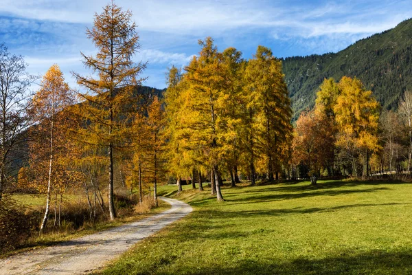 Paisagem montanhosa idílica nos Alpes com trilha de caminhada. Planalto de Mieminger, Áustria — Fotografia de Stock