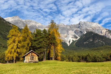 Autumn scenery of Miemenger Plateau with rocky mountains peaks in the background. Austria, Europe, Tyrol clipart