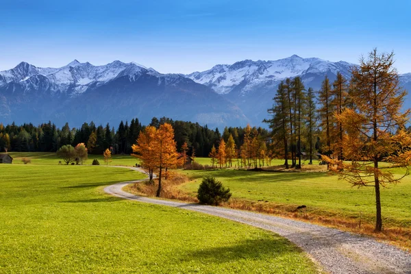 Őszi táj Miemenger-fennsík, hóval borított hegyek a háttérben. Ausztria, Európa, Tirol — Stock Fotó