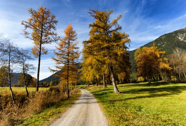 Őszi hegyi táj utat. Mieming-i fennsík, Ausztria-Tyrol — Stock Fotó