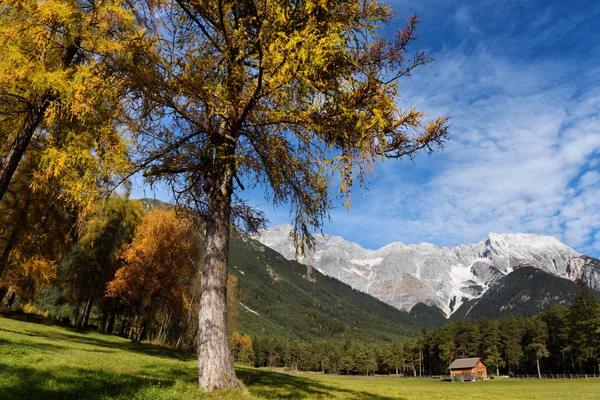 Idilli táj Miemenger-fennsík, színes őszi szezonban. Ausztria-Tyrol — Stock Fotó