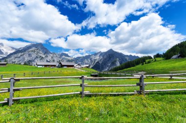 Pastoral sahne Walderalm yakınındaki Karwendel'de dağlarda. Avusturya, Tirol.