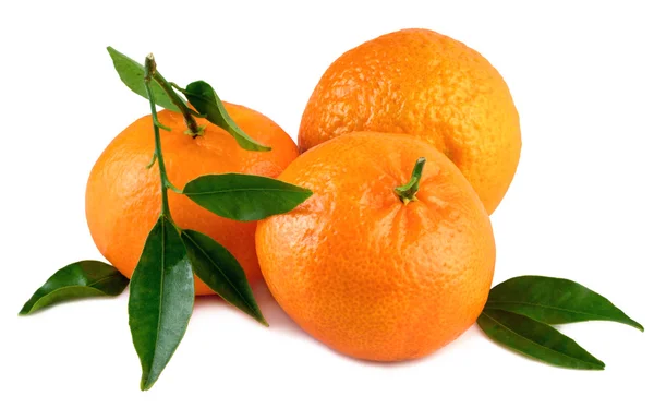 Mandarine Mandarine Bio-Früchte mit Blättern auf weiß — Stockfoto