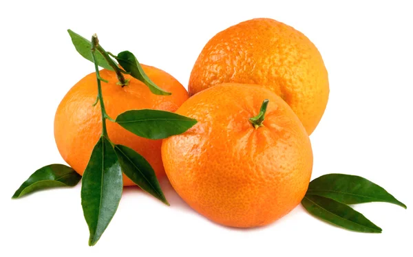 Mandarine μανταρίνι βιολογικά φρούτα με φύλλα σε λευκό — Φωτογραφία Αρχείου