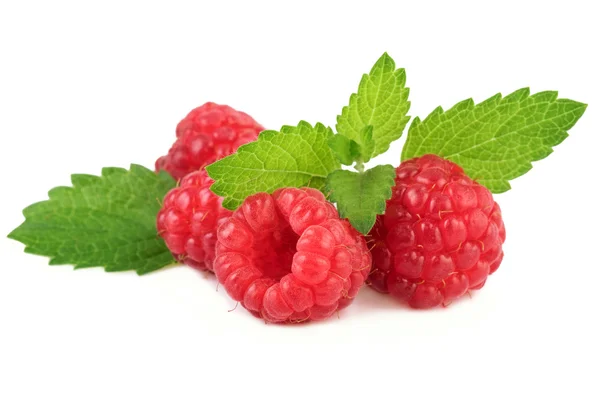 Organic raspberries with mint leaves on white closeup — Stock Photo, Image