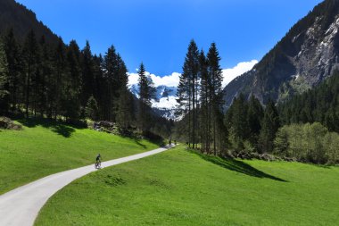 Dağ yolunu Stillup Vadisi Avusturya Tyrol için yapılan manzara
