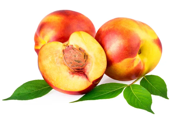 Close-up van nectarines op witte achtergrond — Stockfoto