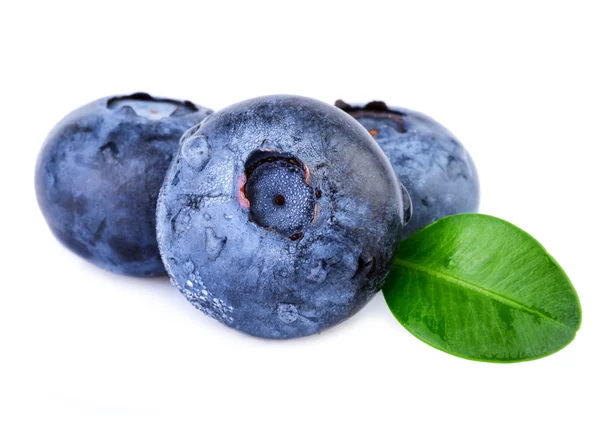 Blaubeeren mit Wassertropfen Nahaufnahme — Stockfoto