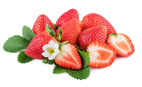 Strawberries with leaf and flower on white background — Stock Photo, Image