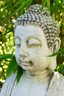 Buda baş meditasyon denge spa kavramı