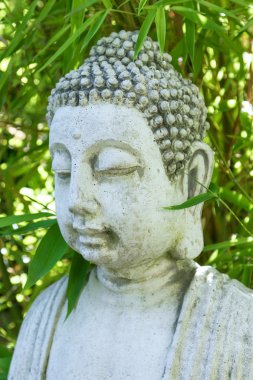 Buda bambu meditasyon denge spa kavramı