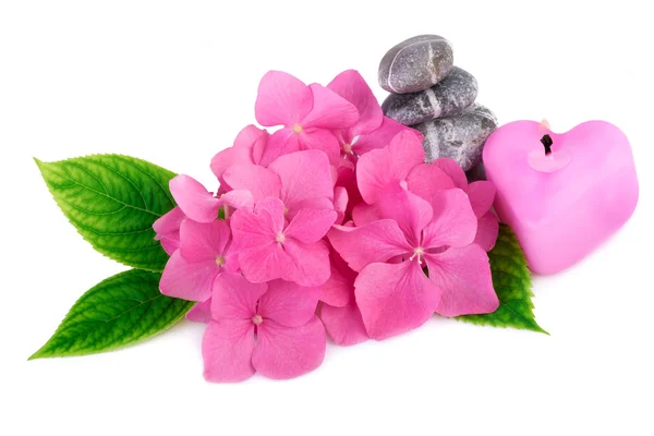 Wellness-Steine Zen mit Blumen und Kerze in Herzform — Stockfoto